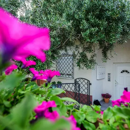 Apartment Zanina Zadar