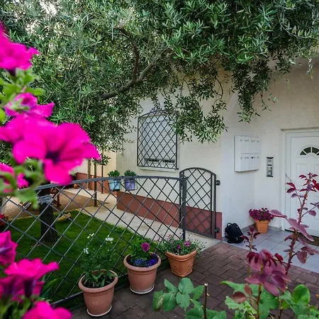 Apartment Zanina Zadar